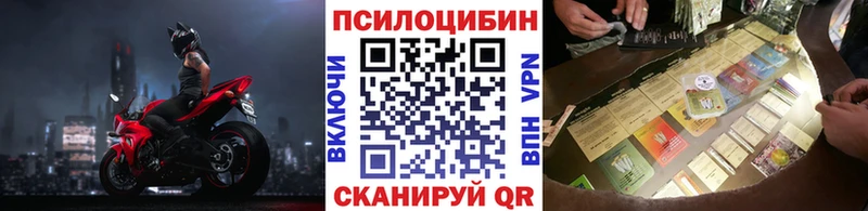 купить  цена  маркетплейс как зайти  Галлюциногенные грибы Cubensis  Будённовск  блэк спрут tor 